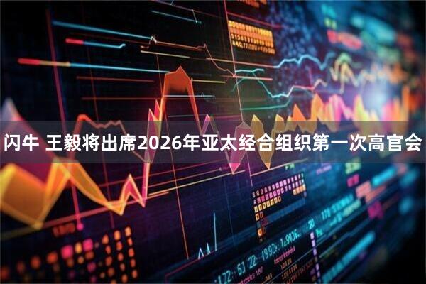 闪牛 王毅将出席2026年亚太经合组织第一次高官会
